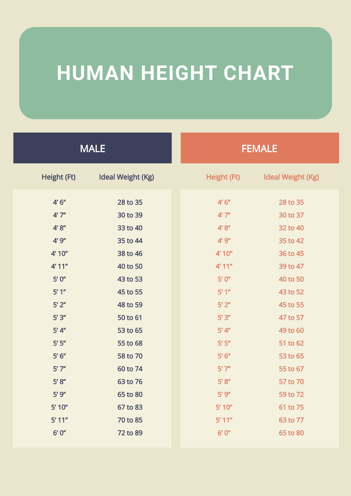 Human Height Chart Template