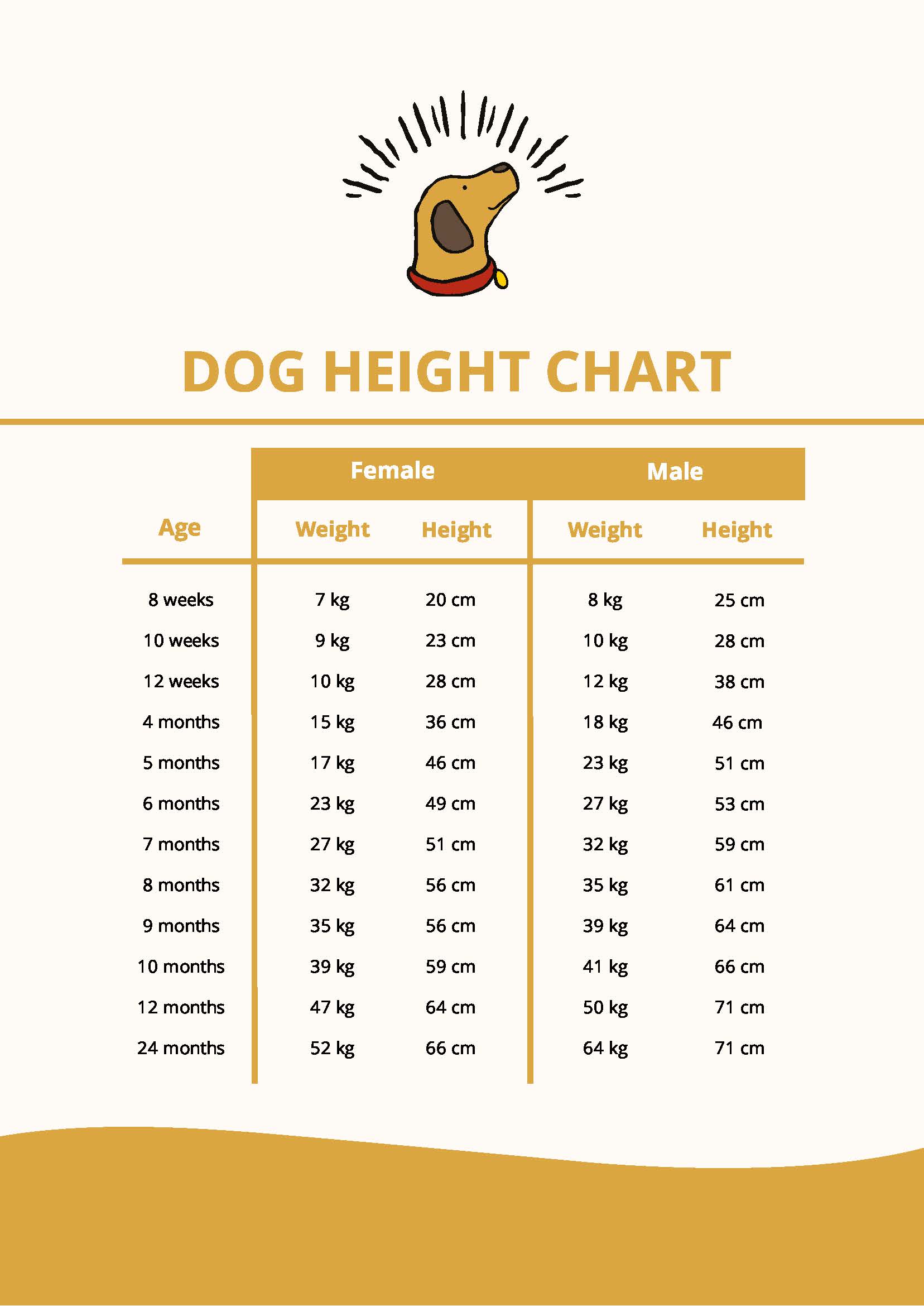 FREE Height Chart Template - Download in PDF, Illustrator | Template.net