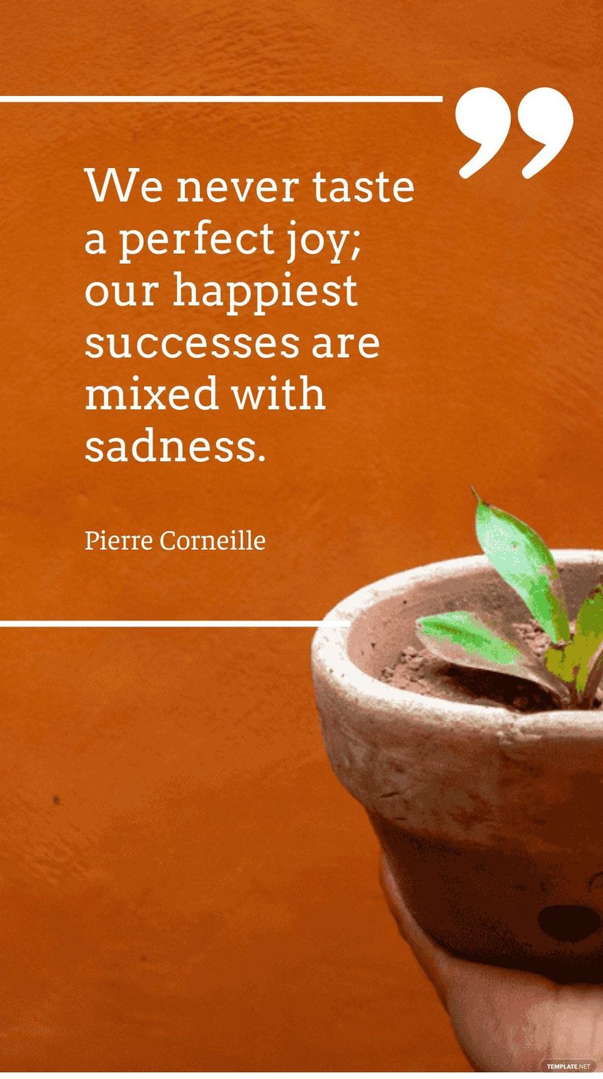 Pierre Corneille - We never taste a perfect joy; our happiest successes are mixed with sadness.