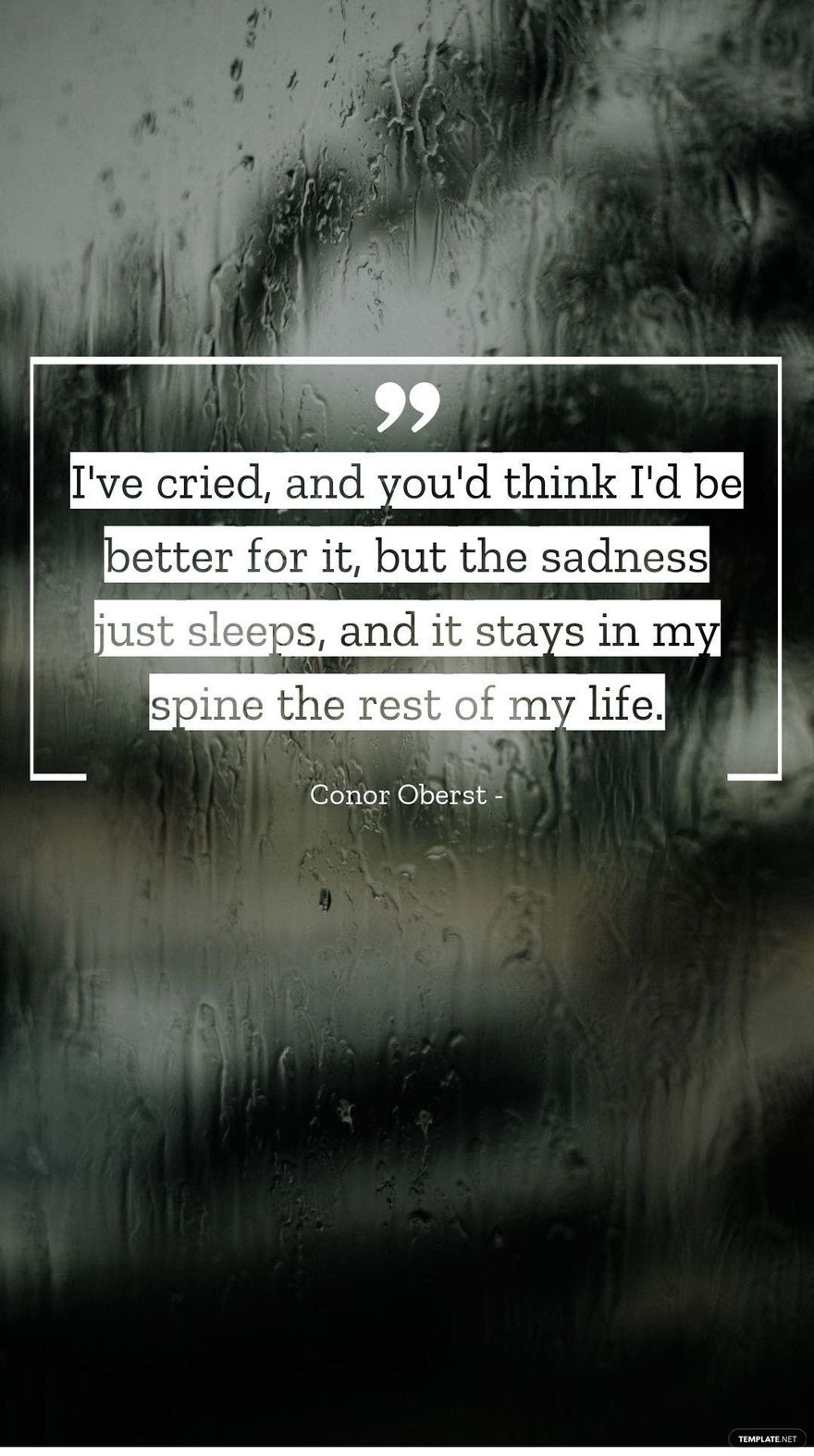 Conor Oberst - I've cried, and you'd think I'd be better for it, but the sadness just sleeps, and it stays in my spine the rest of my life.