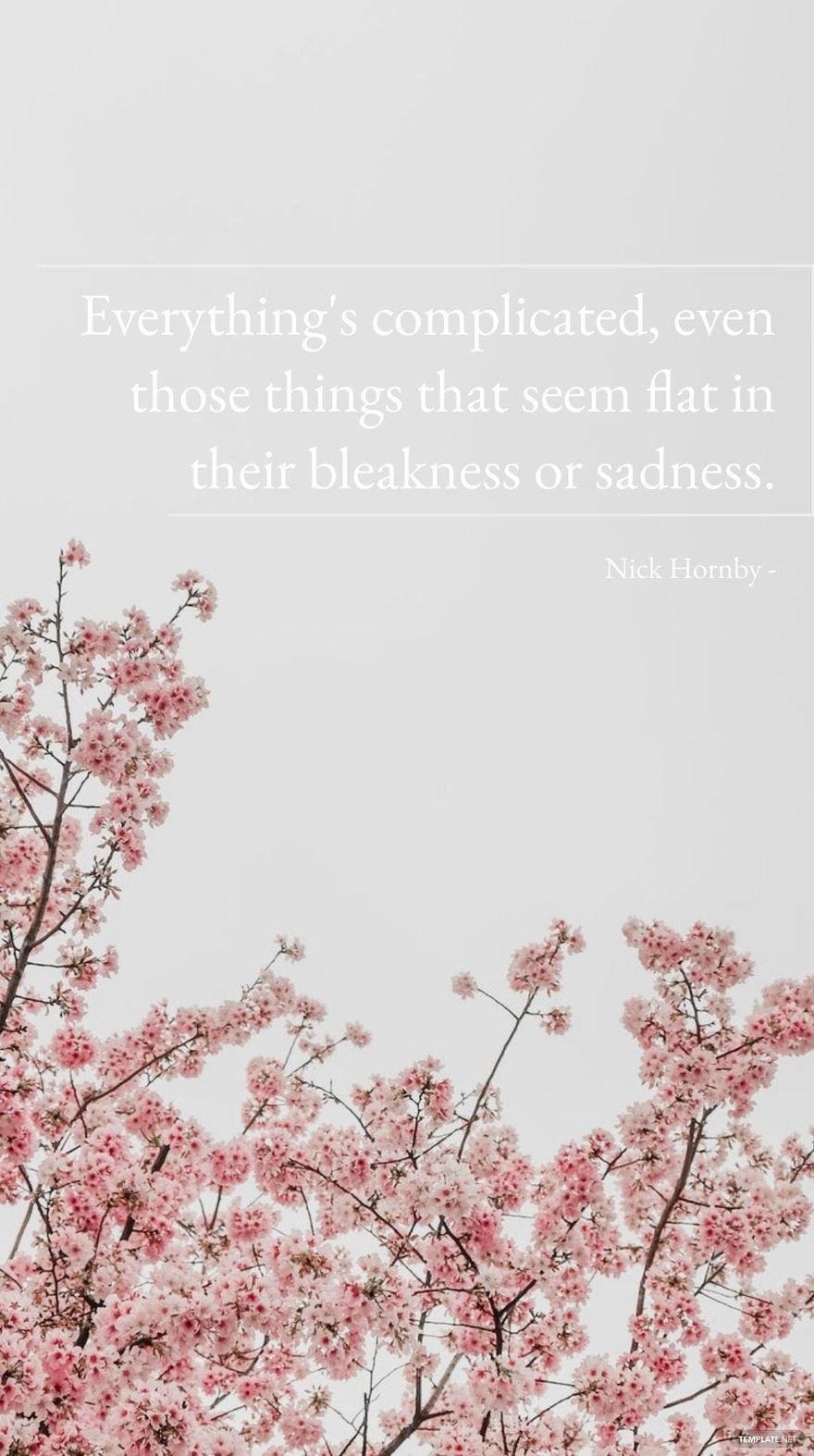 Nick Hornby - Everything's complicated, even those things that seem flat in their bleakness or sadness.