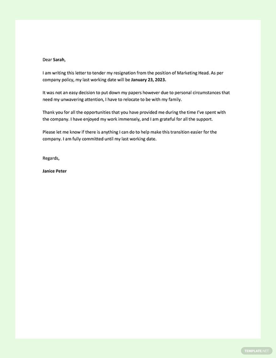 Simple Offer Letter Format - Google Docs, Word, PDF | Template.net