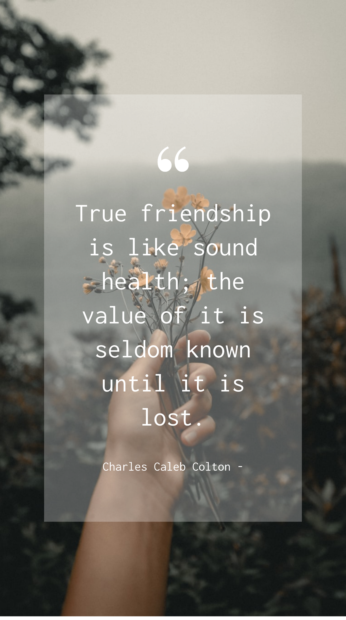 Charles Caleb Colton - True friendship is like sound health; the value of it is seldom known until it is lost. Template