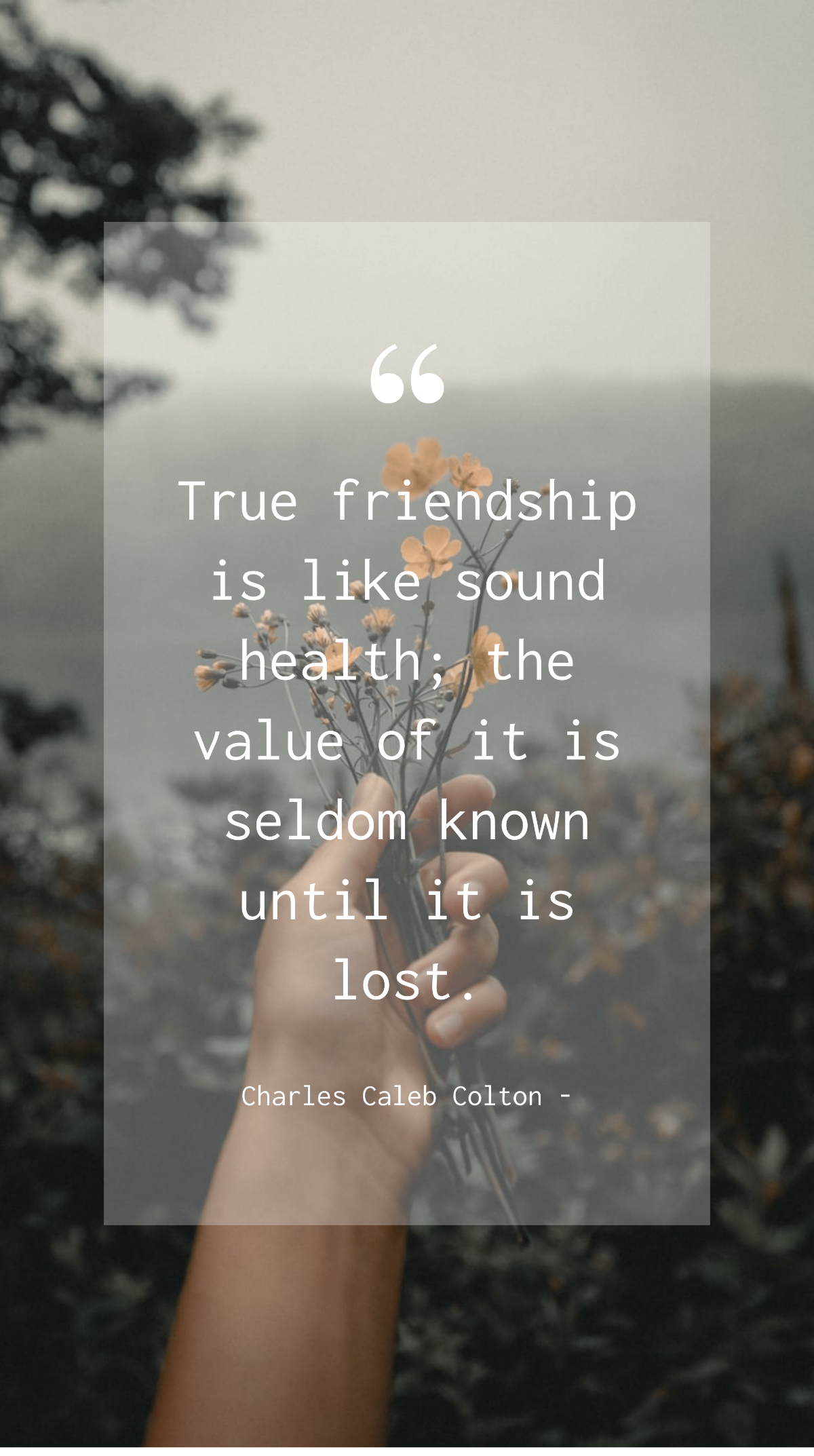 Charles Caleb Colton - True friendship is like sound health; the value of it is seldom known until it is lost.