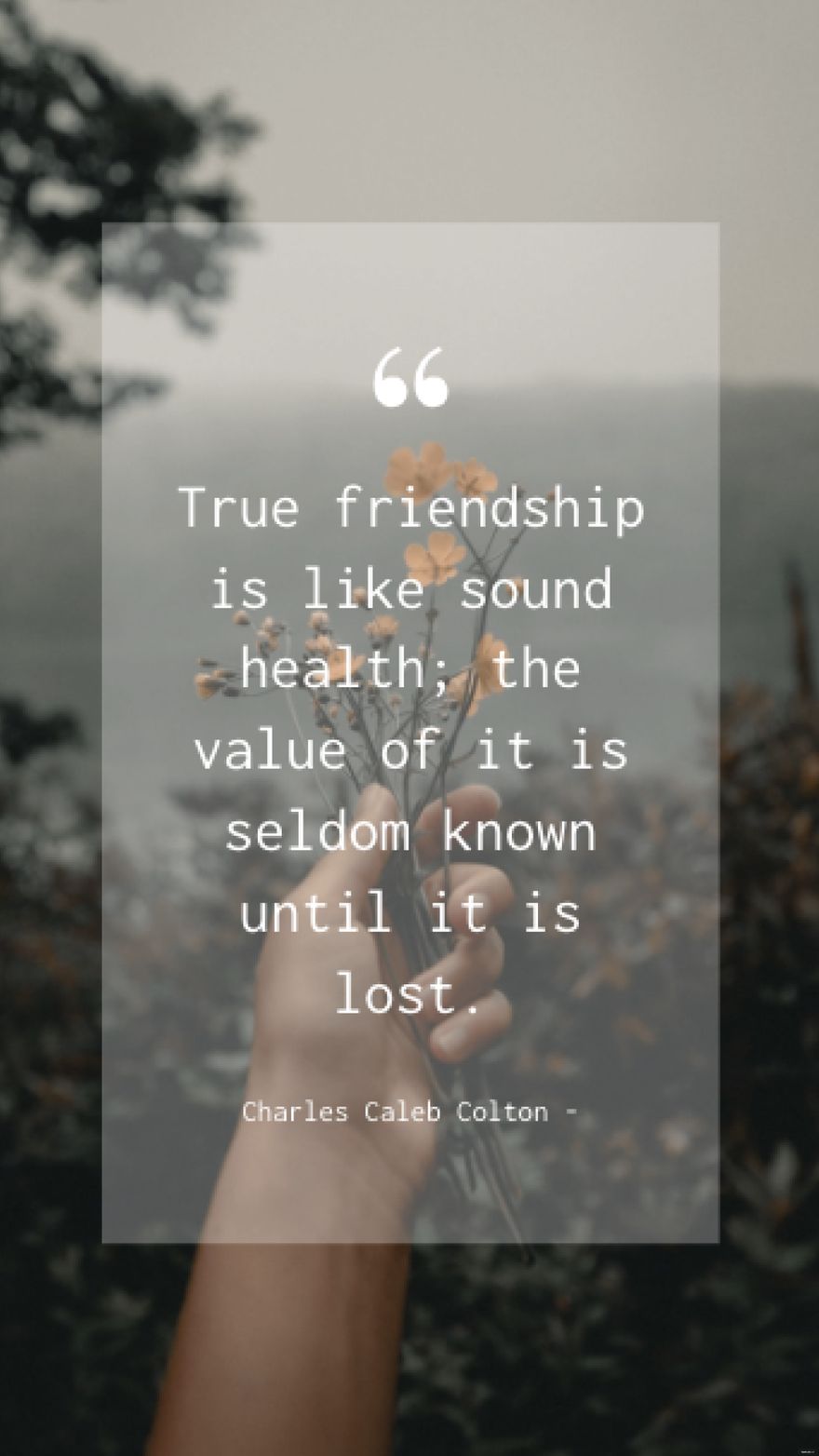 Charles Caleb Colton - True friendship is like sound health; the value of it is seldom known until it is lost.