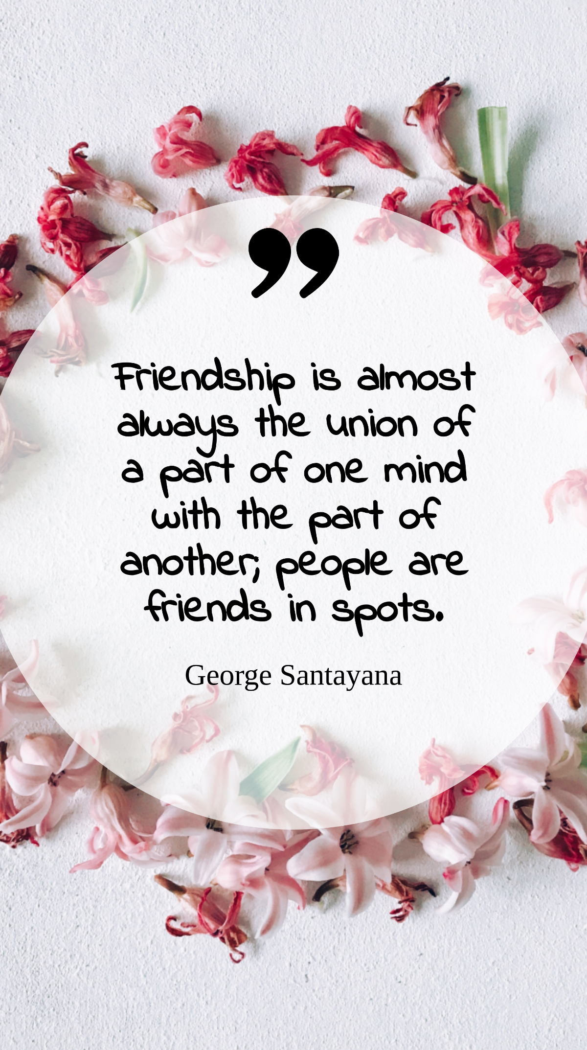 George Santayana: Friendship in Spots Quote