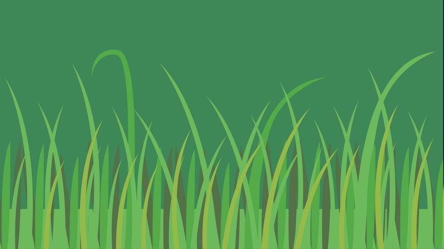 grass background clipart