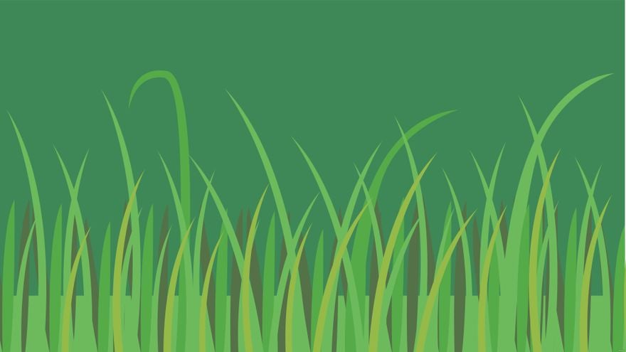 Free Green Grass Background