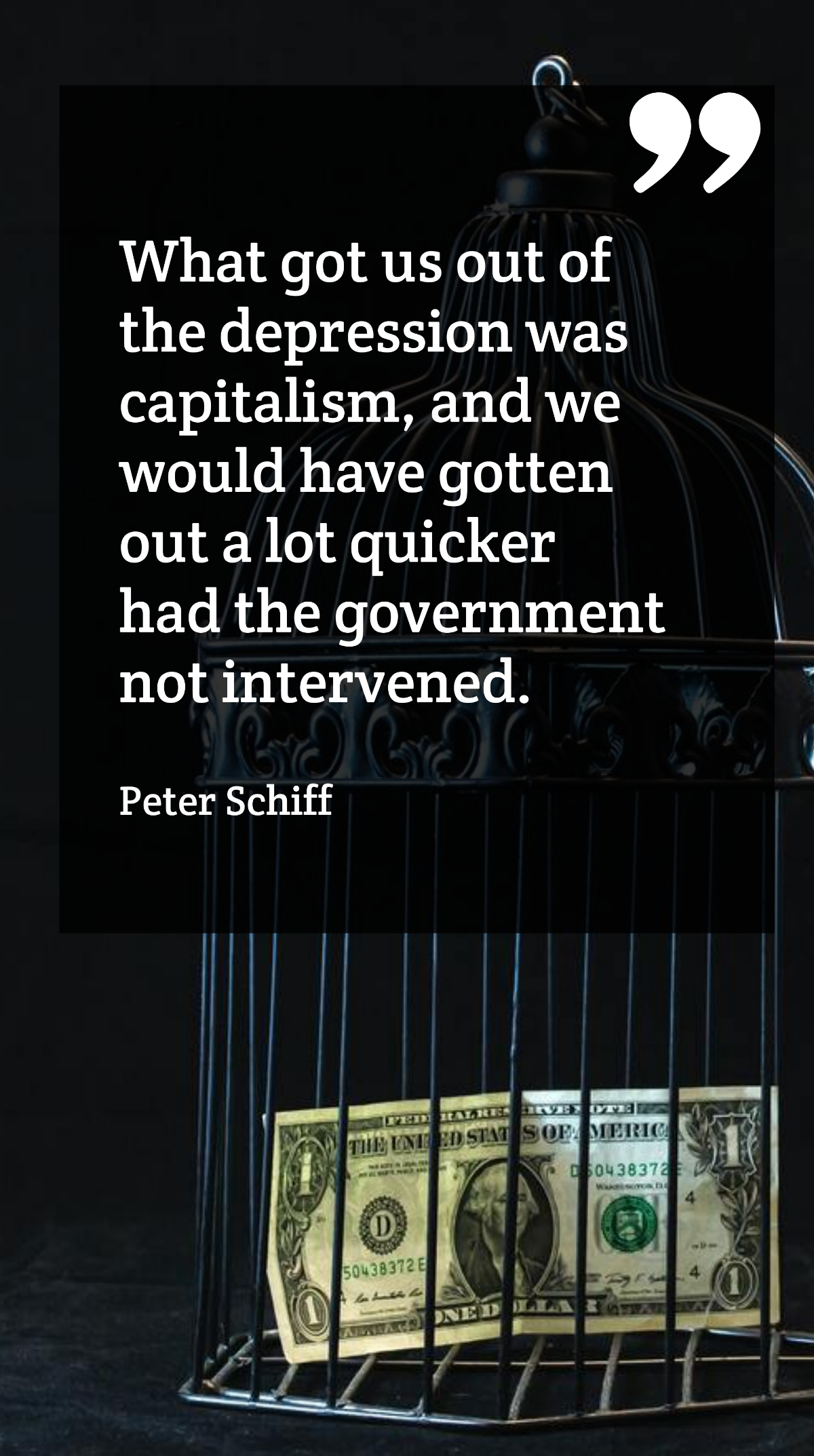Peter Schiff - What got us out of the depression was capitalism, and we would have gotten out a lot quicker had the government not intervened. Template