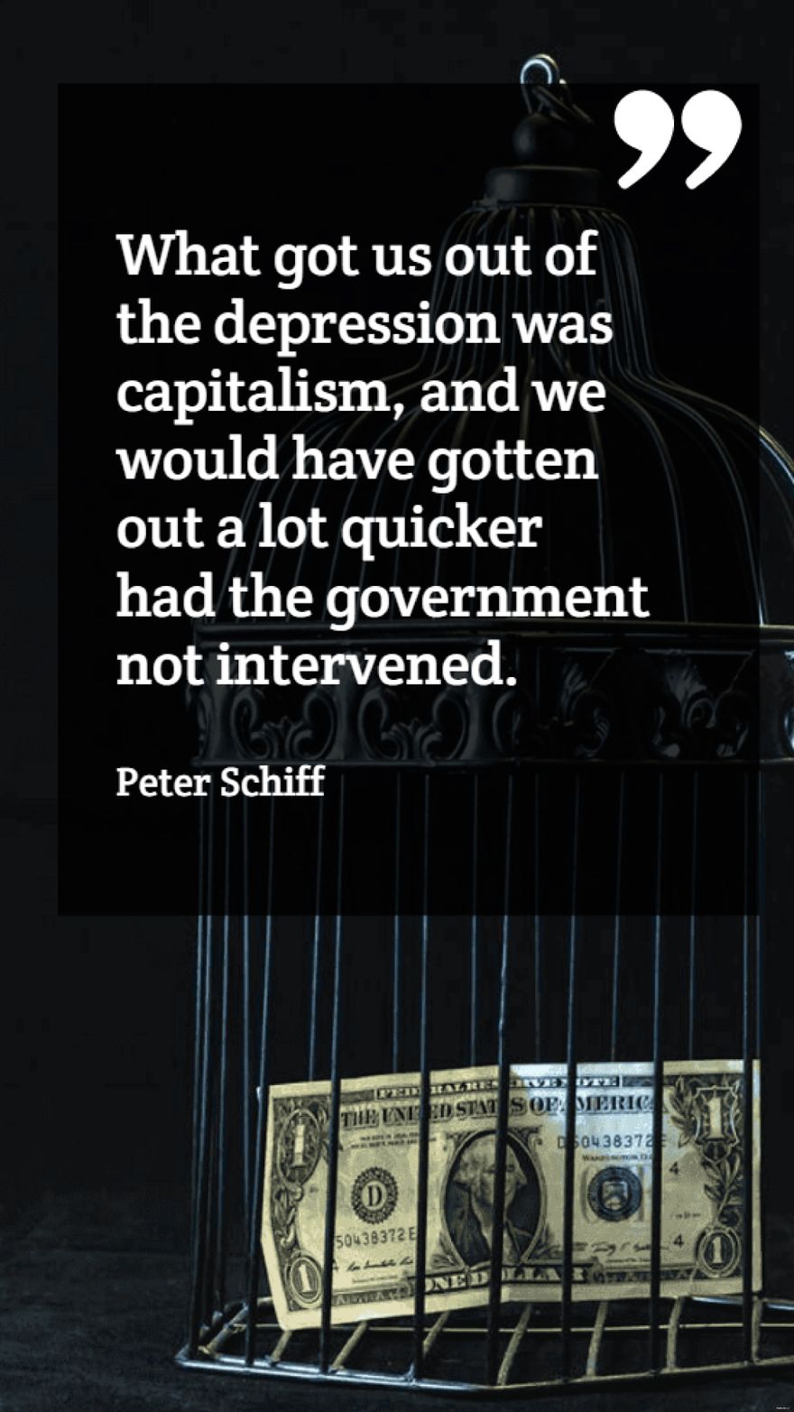 Peter Schiff - What got us out of the depression was capitalism, and we would have gotten out a lot quicker had the government not intervened.