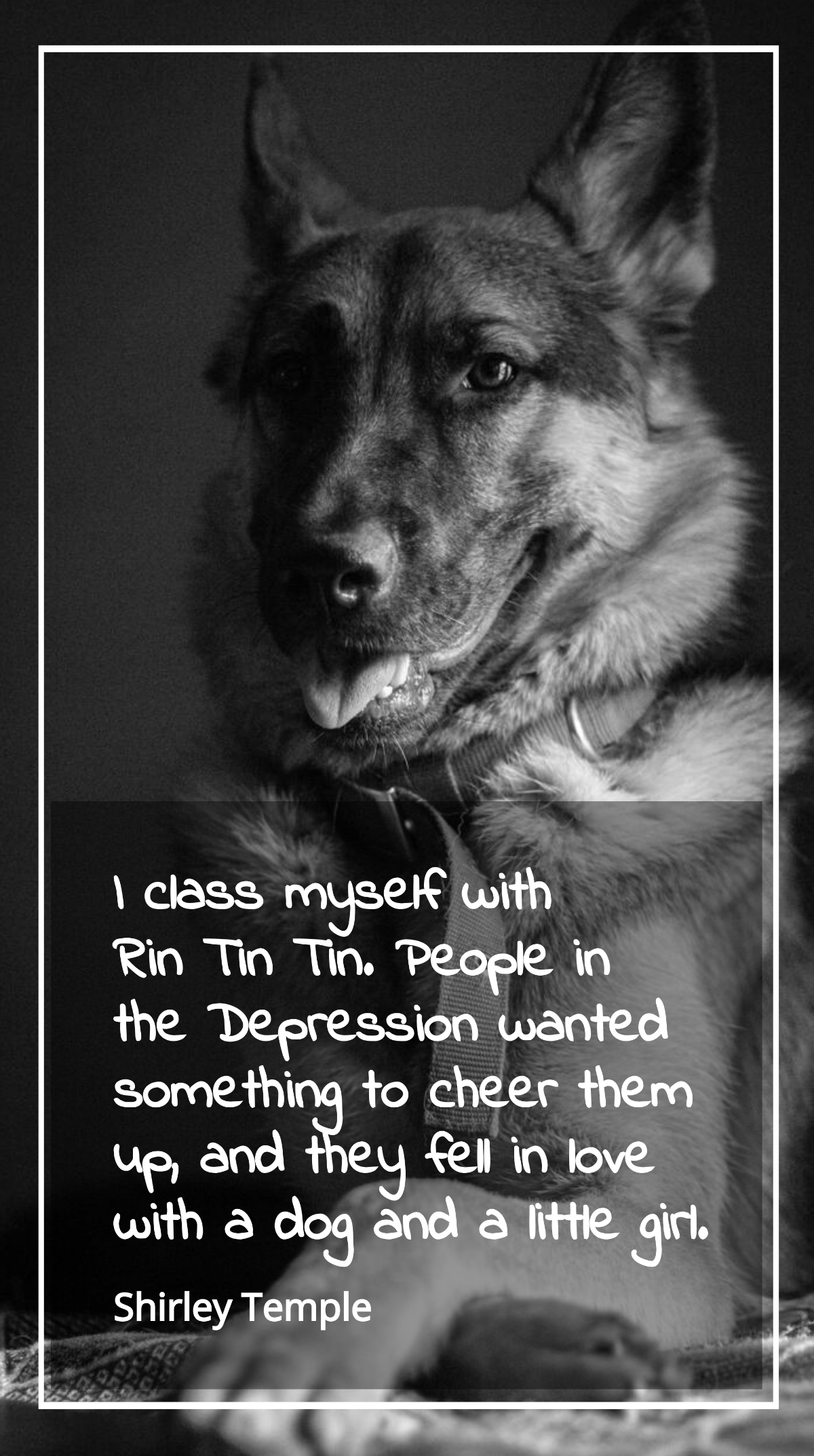 Shirley Temple - I class myself with Rin Tin Tin. People in the Depression wanted something to cheer them up, and they fell in love with a dog and a little girl. Template