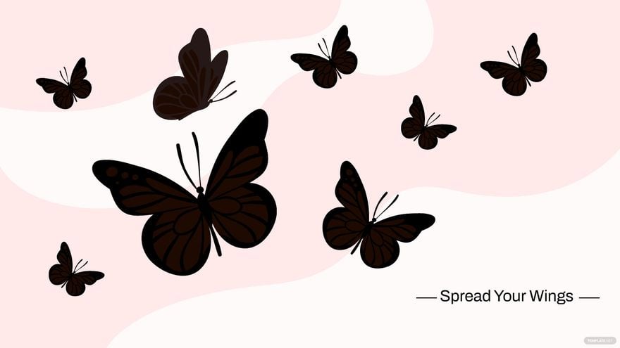 Black Butterfly Wallpaper - JPG 