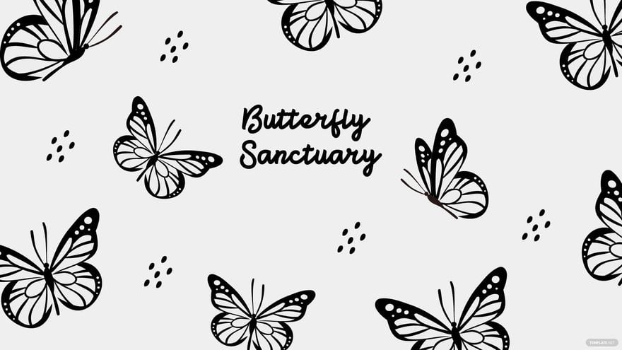 Black And White Butterfly Wallpaper - JPEG 