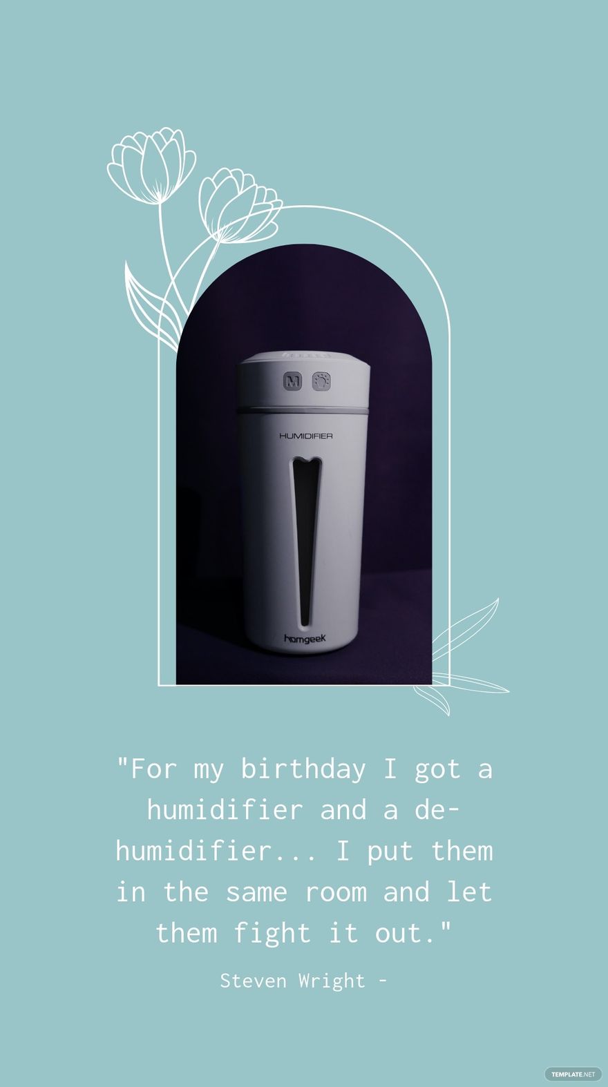 Steven Wright - For my birthday I got a humidifier and a de-humidifier... I put them in the same room and let them fight it out.