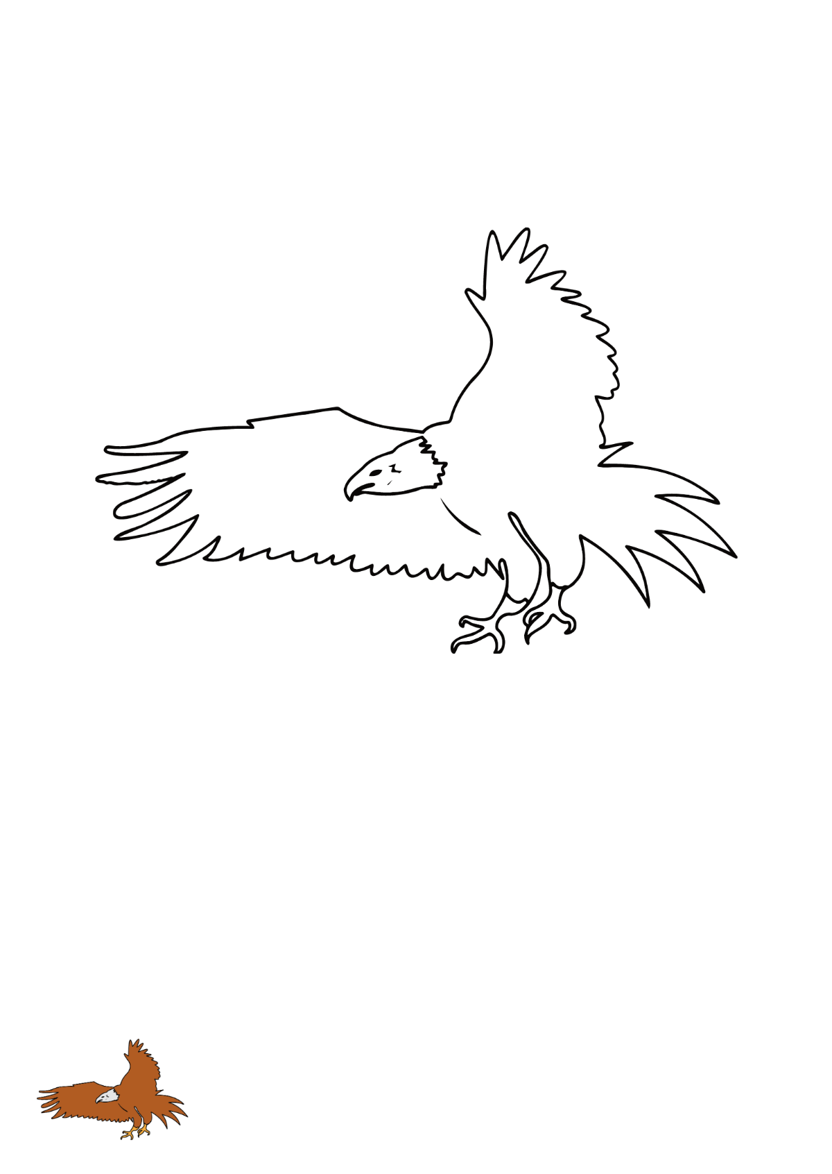 Soaring Eagle coloring page Template