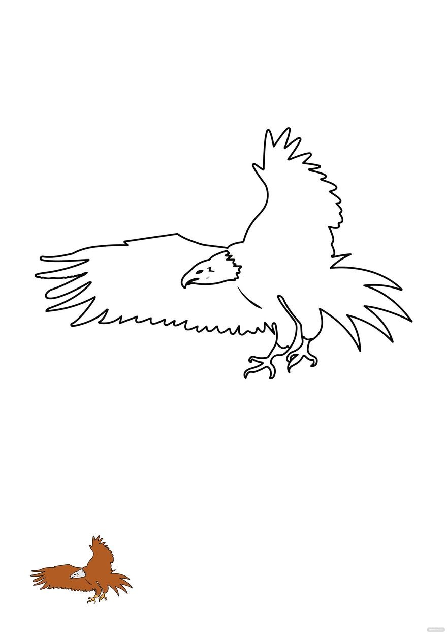 Free Soaring Eagle coloring page in PDF