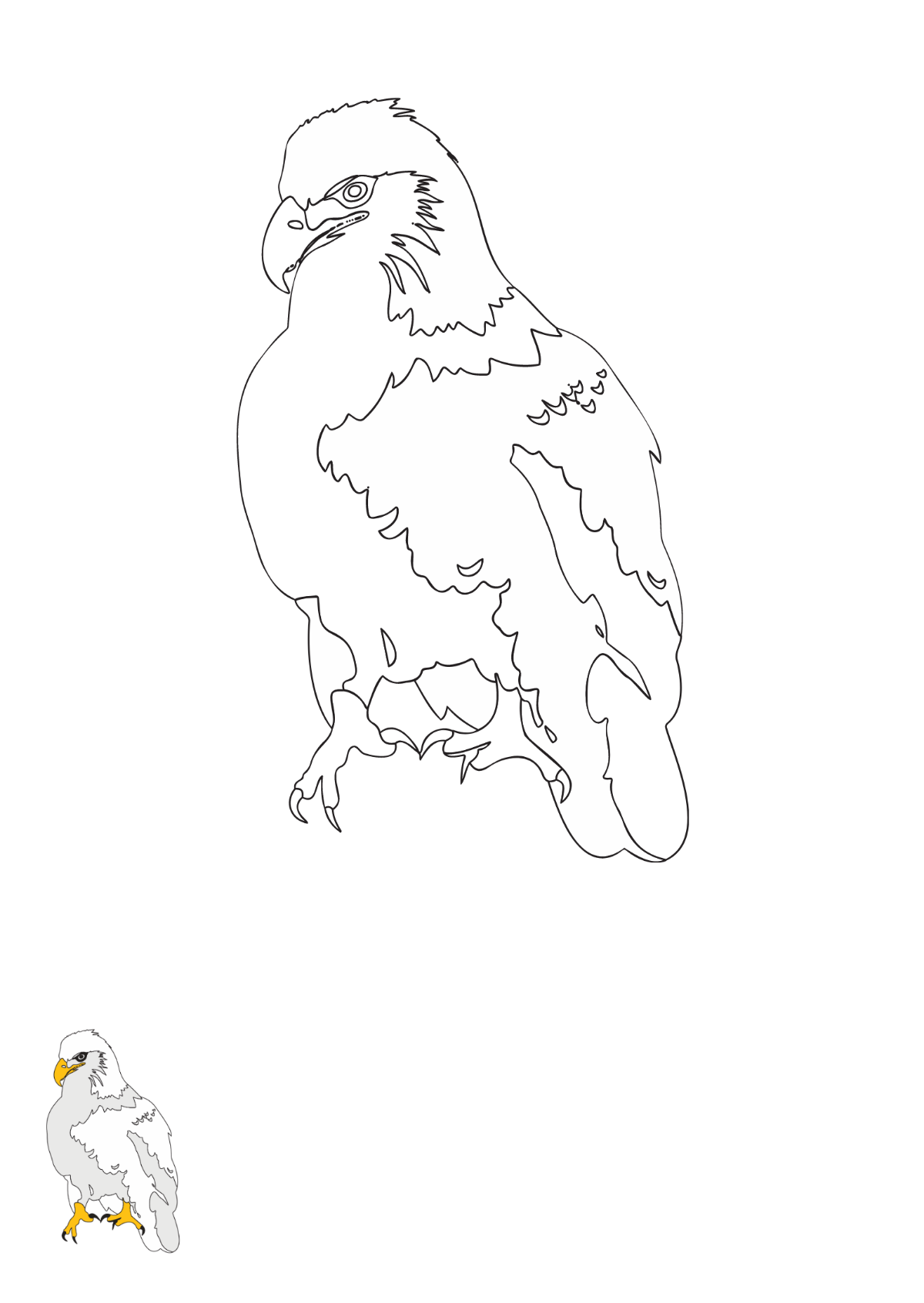 Standing Eagle coloring page Template