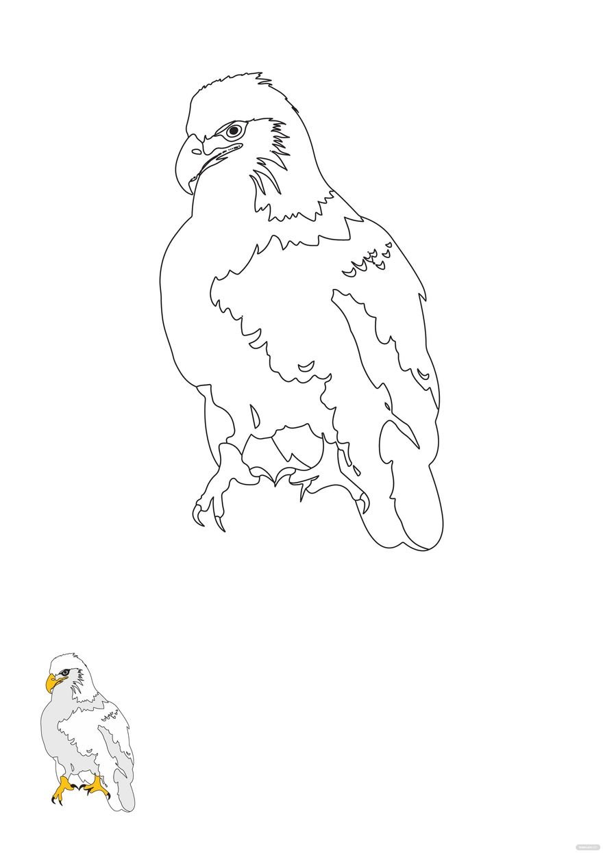 Standing Eagle coloring page in PDF