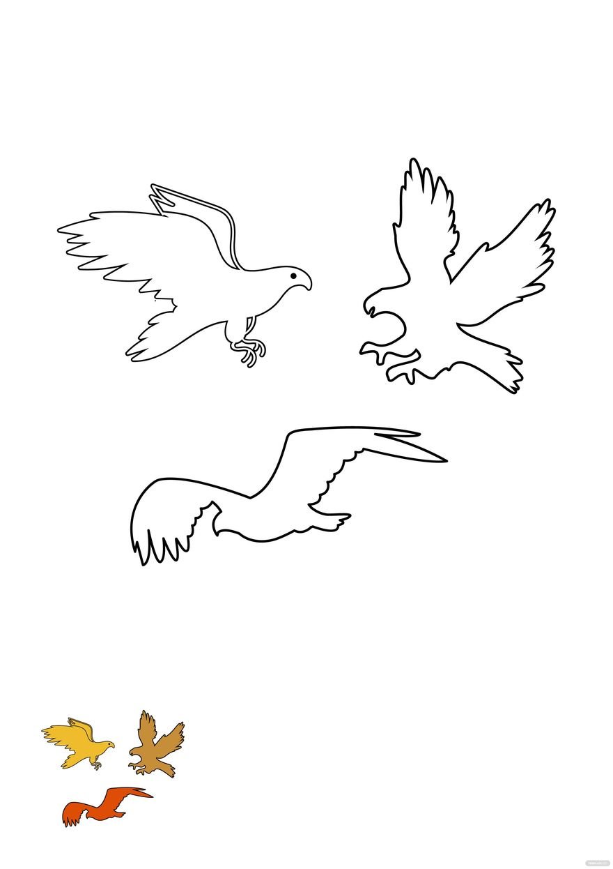 Free Transparent Eagle coloring page in PDF