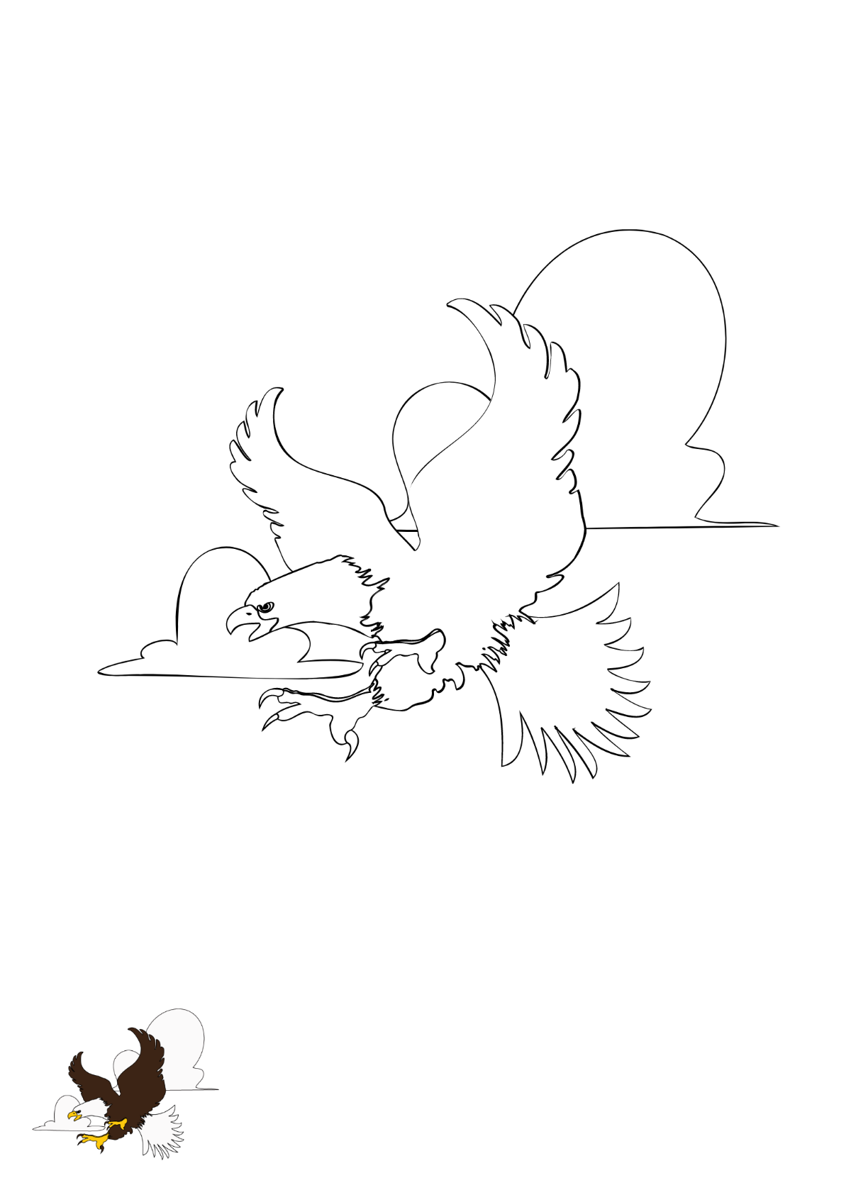 Free Wedge Tail Eagle coloring page Template