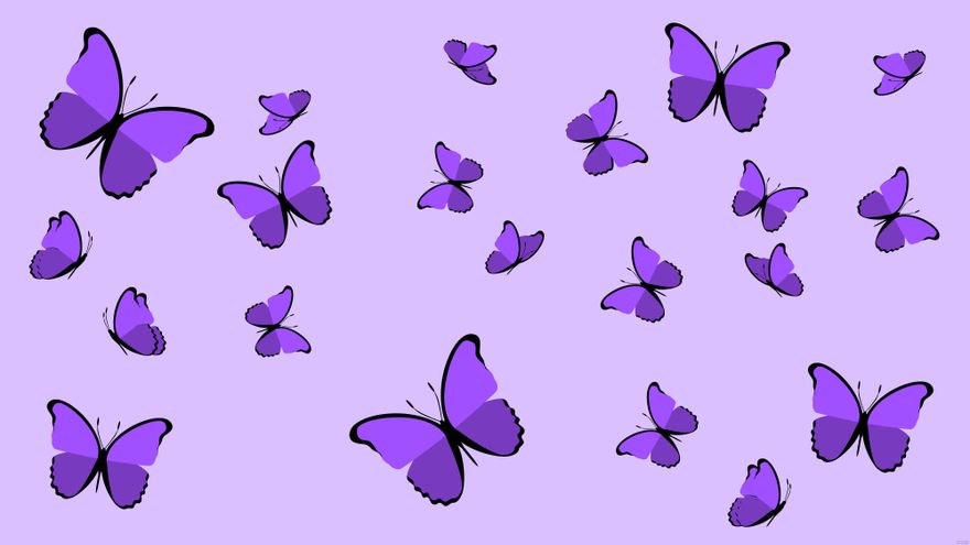 purple butterfly picture