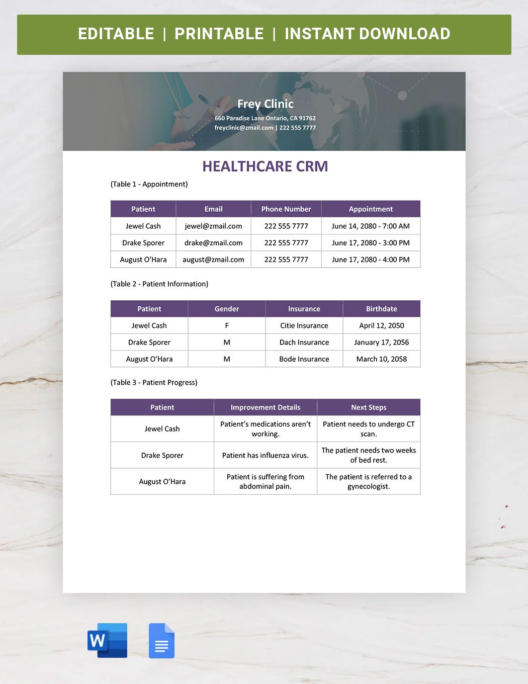 Healthcare CRM Template in Word, Google Docs