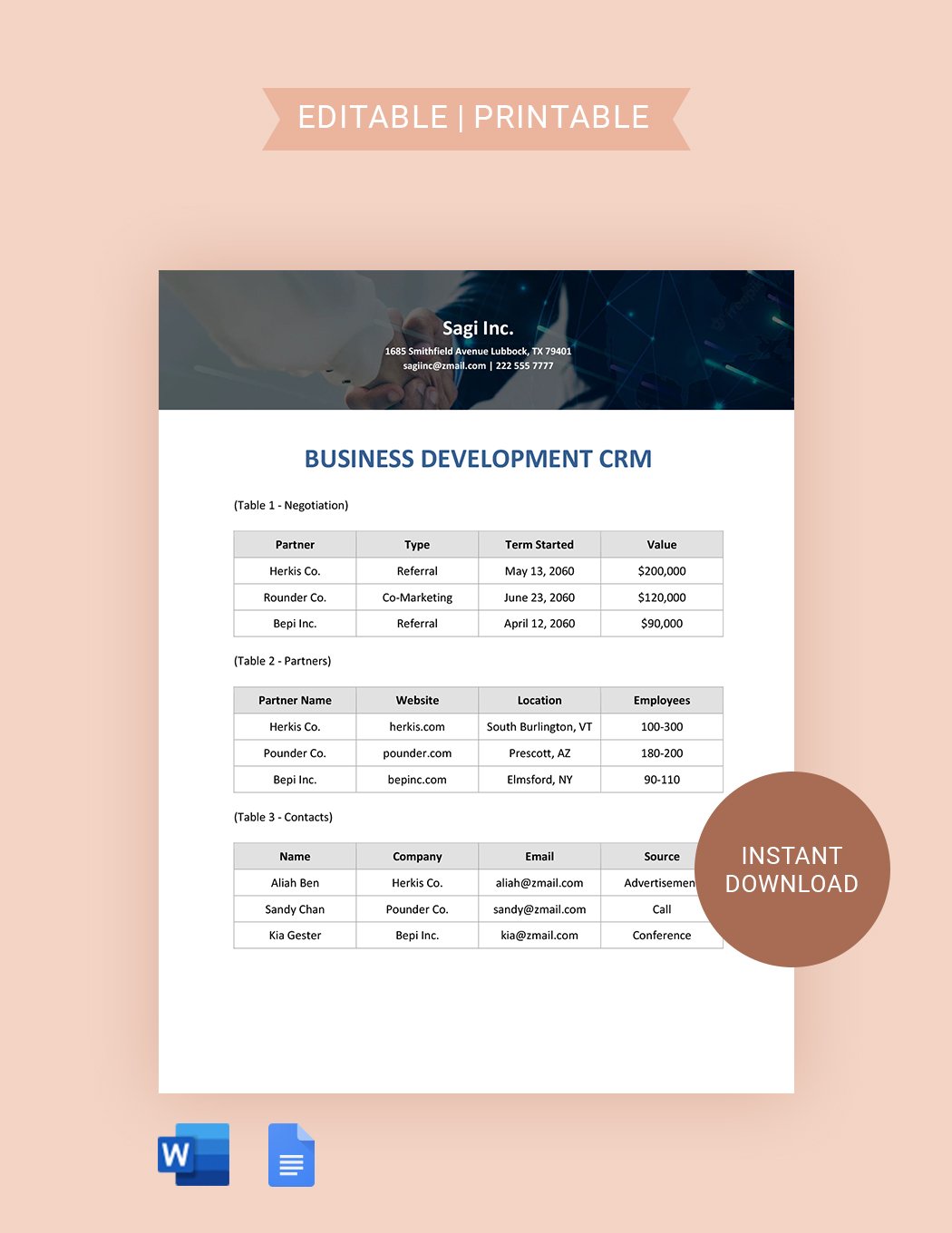 Business Development CRM Template in Word, Google Docs