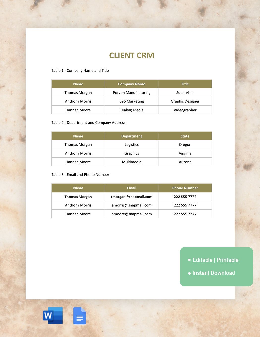 Client CRM Template in Word, Google Docs
