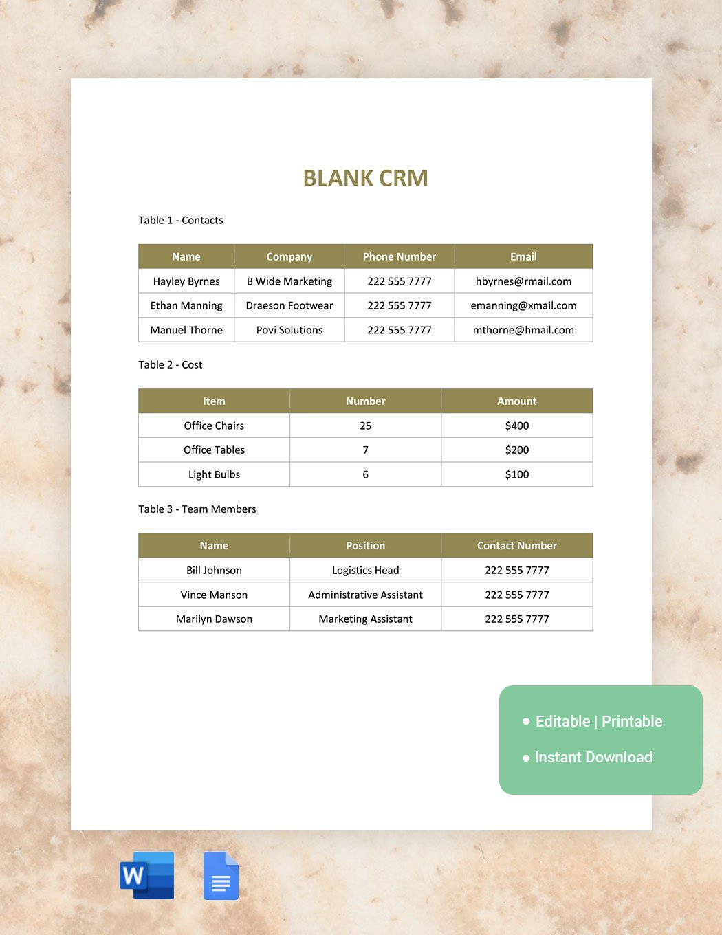 Blank CRM Template in Word, Google Docs