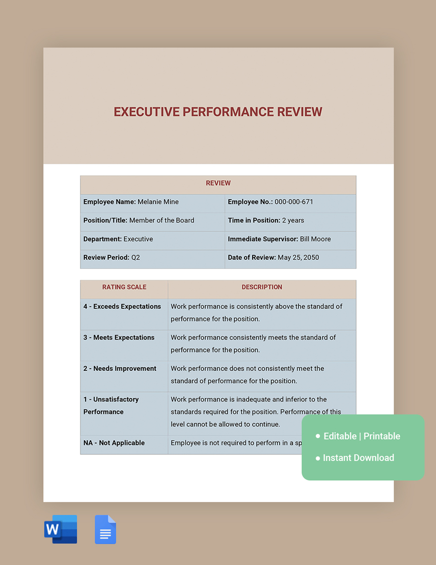 Executive Performance Review Template In Word Google Docs Download 