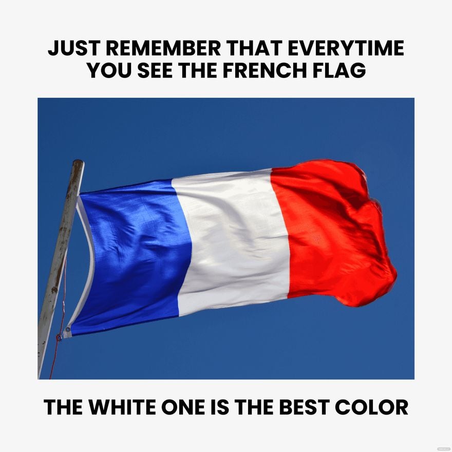 French Flag Meme