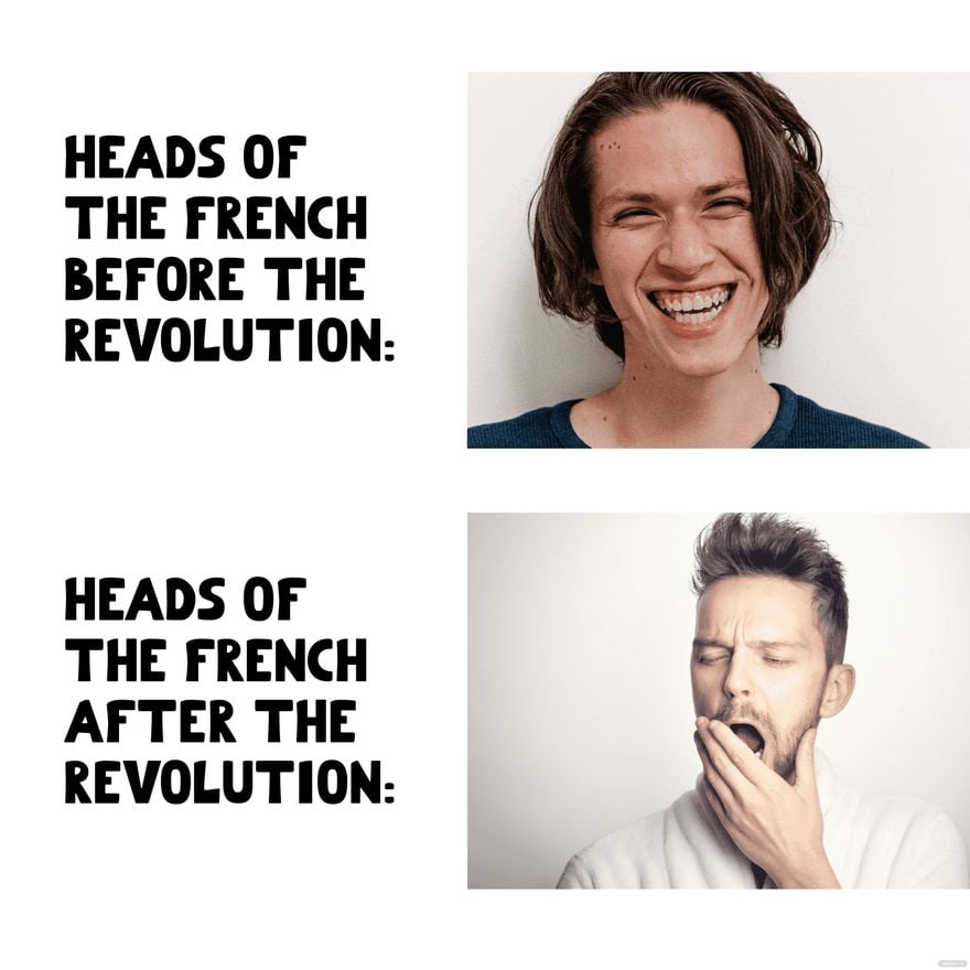 French Revolution Meme