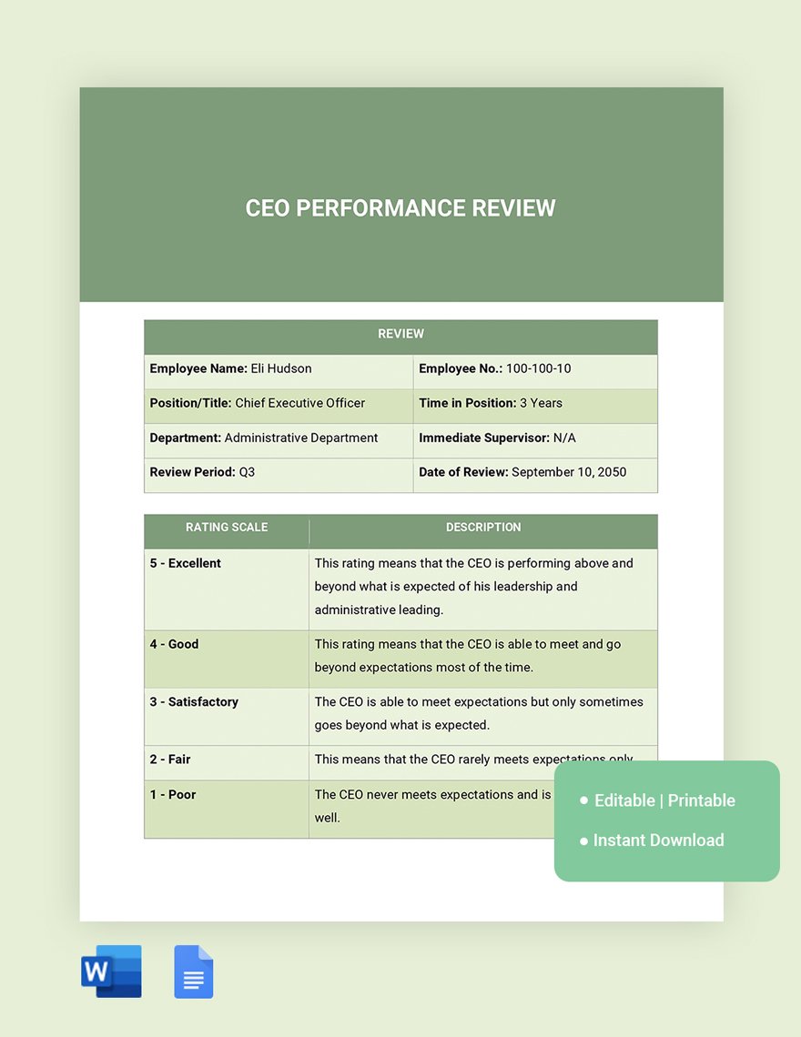 CEO Performance Review Template
