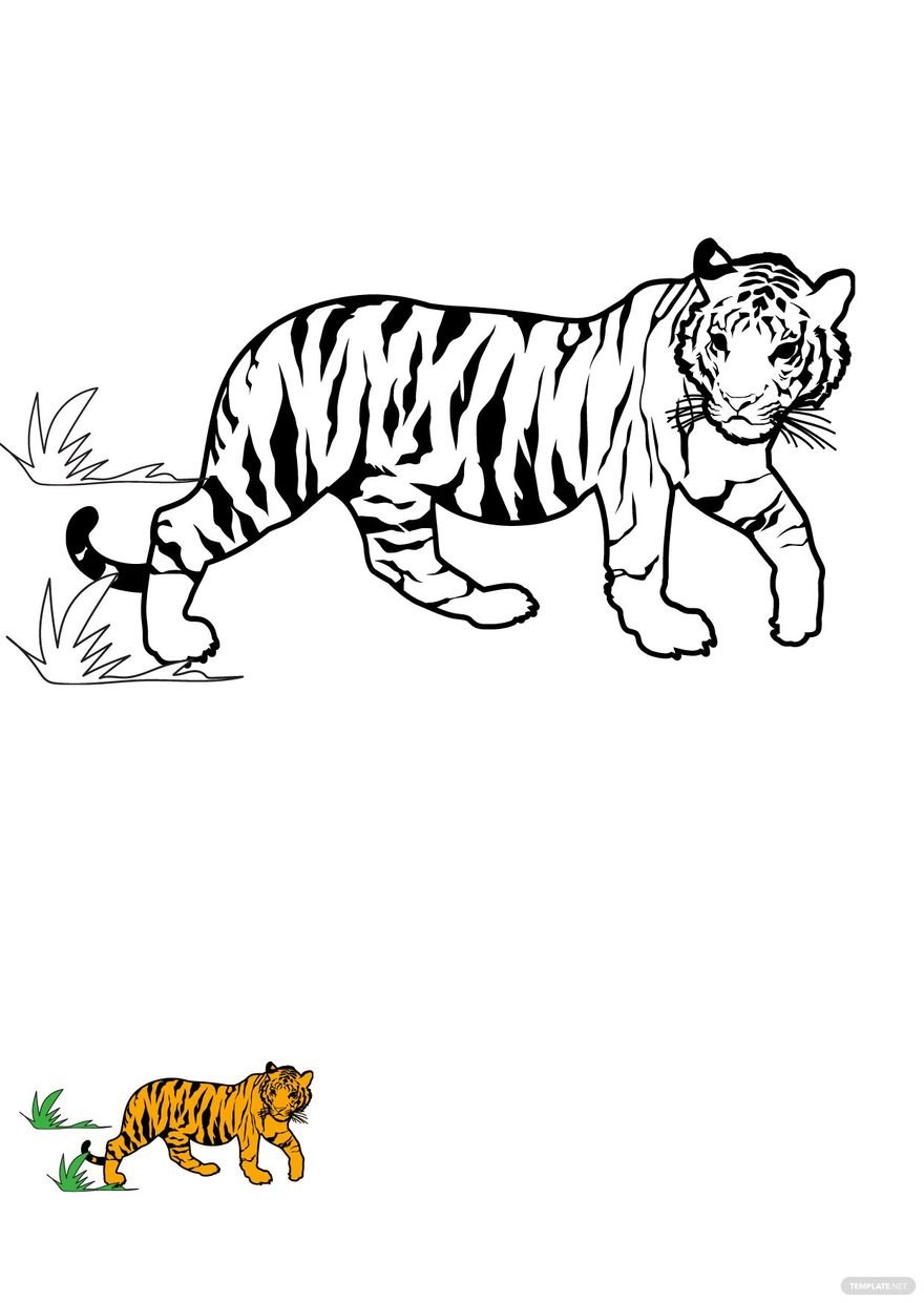 Free Old Tiger Coloring Page in PDF, JPG
