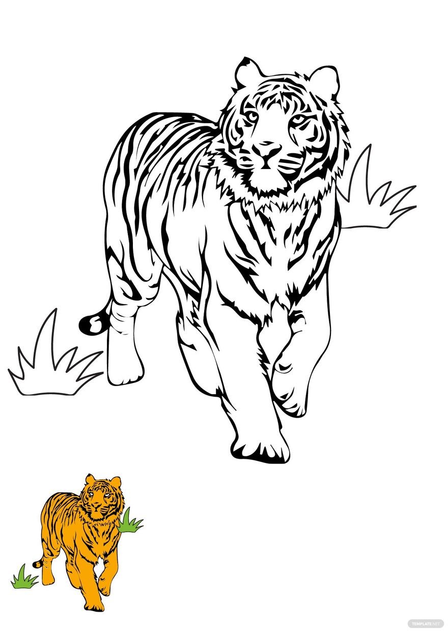 Standing Tiger Coloring Page in PDF, JPG
