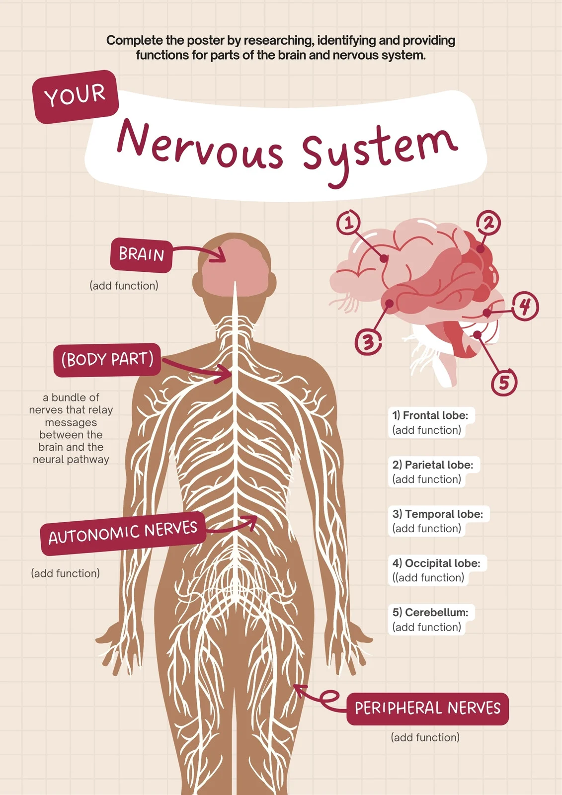 Anatomy Generator