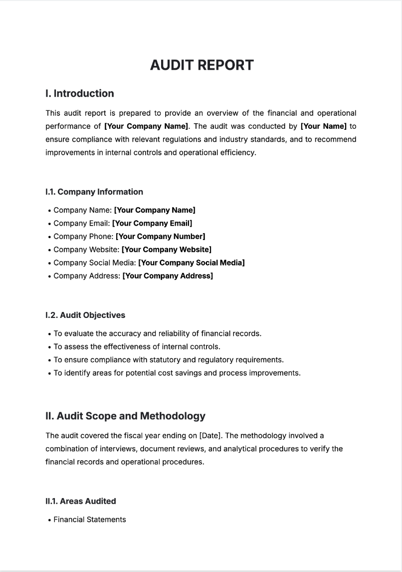 Audit Report Generator