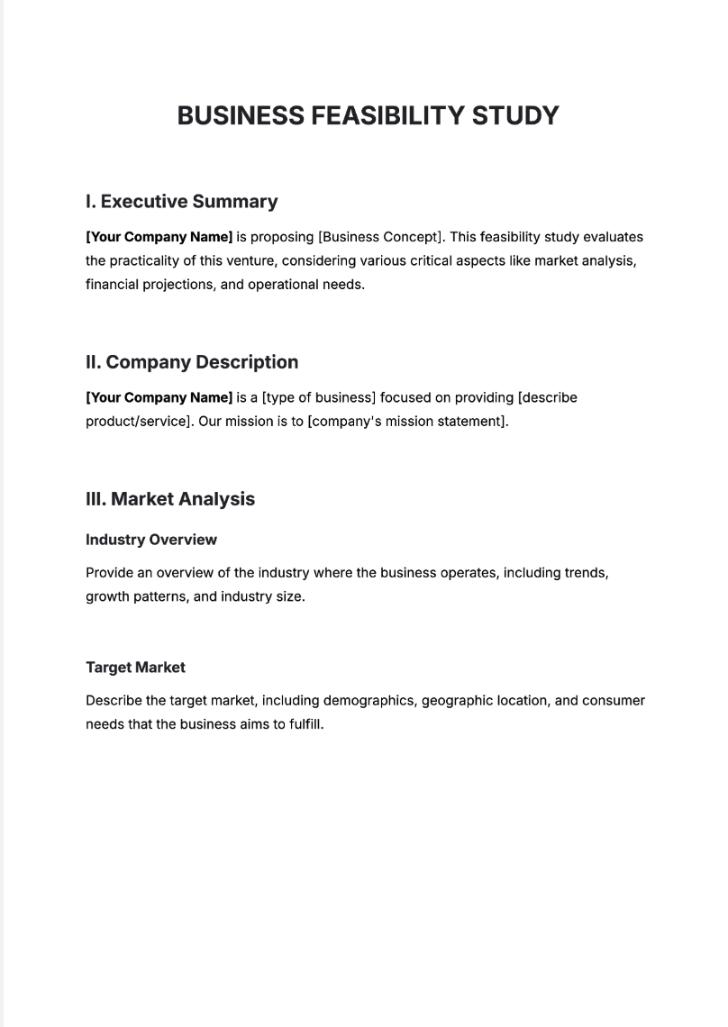 Business Feasibility Study Generator
