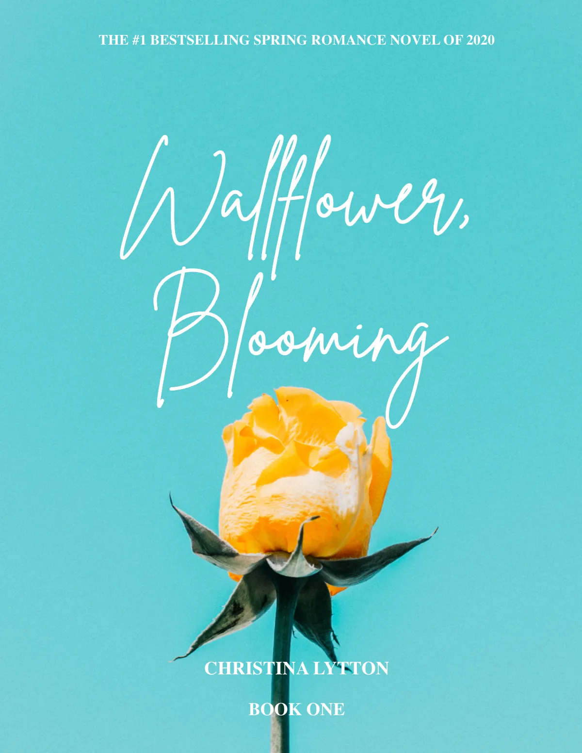 eBook Cover Generator