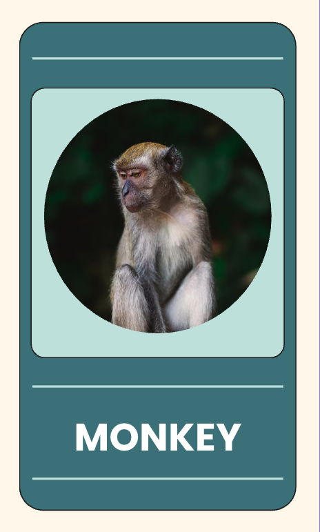 Free AI Flashcard Generator, Free Flashcard Maker Online