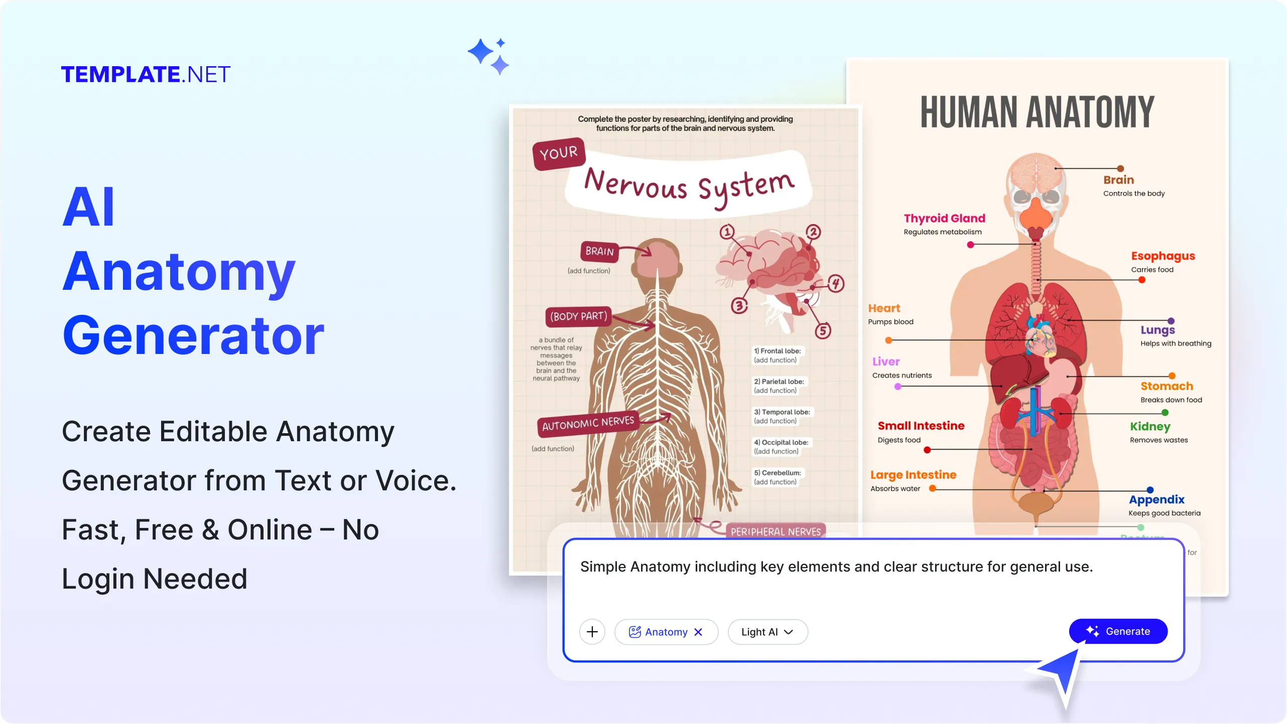 Free AI Anatomy Generator, Create Anatomy Designs Online