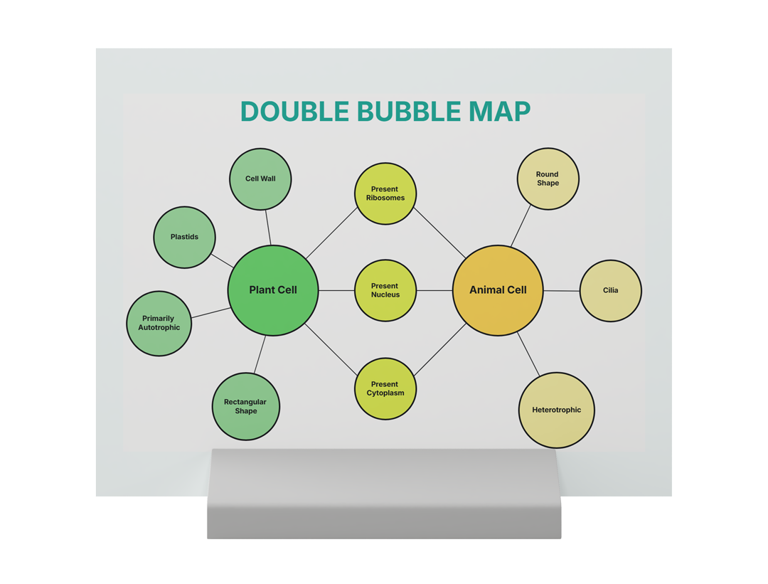 Bubble Map