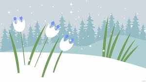 Winter Floral Background