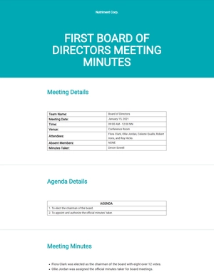 Minutes of Meeting of Directors First Template