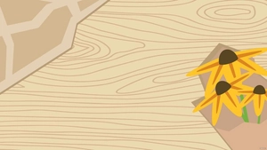 Light Wood Background