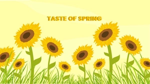 Spring Sunflower Wallpaper