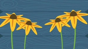 Sunflower Wood Background
