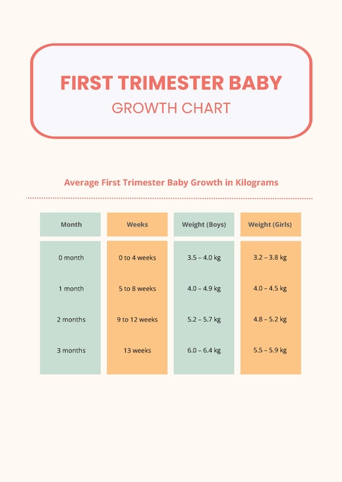 First Trimester Baby Growth Chart