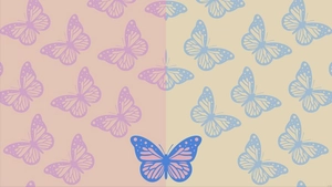 Blue And Pink Butterfly Background