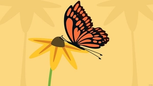 Sunflower With Butterfly Background